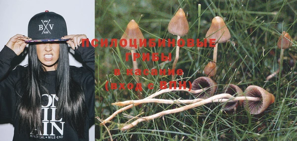 амфетамин Липки